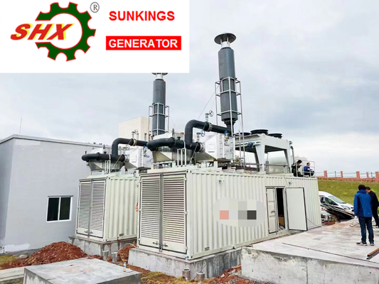주문 쿠민스 볼보 퍼킨스에 의해 강화된 8-3000kw 전력 디젤 엔진 발전기 online manufacture