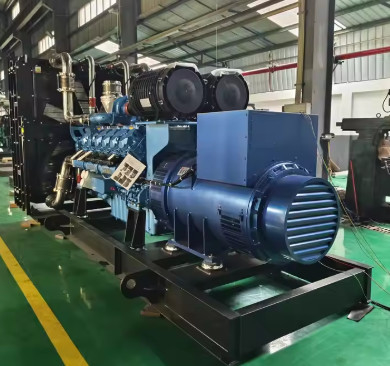 주문 700kVA 560KW 공장 가격 프리미엄 LPG 발전기 가스 발전기 천연 가스 세트 고효율 인버터 online manufacture