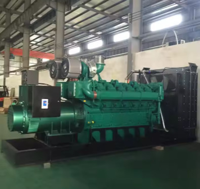 주문 800kVA 640KW 다이노스 최적 공장 가격 LPG 발전기 가스 발전기 장기 지속 가능한 전력 성능과 함께 천연 가스 세트 online manufacture