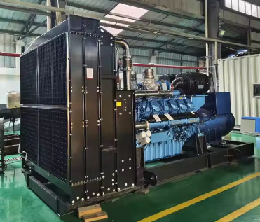 주문 1800kVA 1440KW 만족스러운 디나모 LPG 발전기 가스 발전기 산업용 에너지 공급용 천연 가스 세트 online manufacture