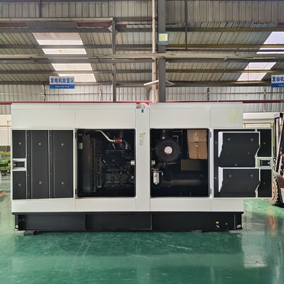 주문 250kVA 슈퍼 시일런트 빠른 시작 자동 시작 비상 전력 발전기 online manufacture